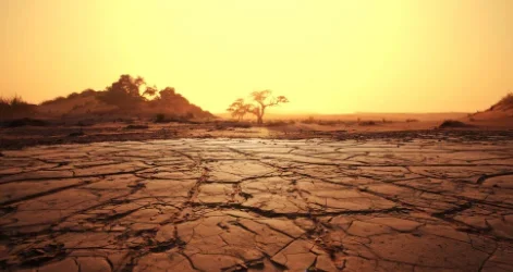 WMO: El Nino Berpotensi Capai Rekor Terkuat Sejak 1950